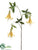 Honeysuckle Spray - Yellow - Pack of 6