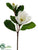 Magnolia Spray - White - Pack of 12