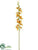 Silk Plants Direct Cymbidium Orchid Spray - Boysenberry Green - Pack of 12