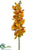 Vanda Orchid Spray - Yellow - Pack of 12