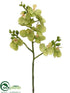 Silk Plants Direct Phalaenopsis Orchid Spray - Green - Pack of 12