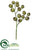 Eucalyptus Pod Spray - Green - Pack of 12