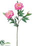 Silk Plants Direct Peony Spray - Pink Two Tone - Pack of 12