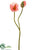 Poppy Spray - Rose Pink - Pack of 12