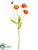 Poppy Spray - Flame - Pack of 24