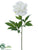 Peony Spray - White - Pack of 12