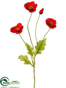 Poppy Spray - Red - Pack of 12