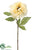 Peony Spray - Beige - Pack of 12