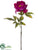 Peony Spray - Wine - Pack of 12