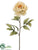 Peony Spray - Beige - Pack of 12