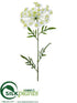 Silk Plants Direct Queen Anne's Lace Spray - White - Pack of 12