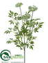 Silk Plants Direct Queen Anne's Lace Spray - White - Pack of 6