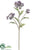 Queen Anne's Lace Spray - Purple - Pack of 12