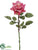 Rose Spray - Cerise Two Tone - Pack of 12