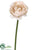 Ranunculus Spray - Pink Soft - Pack of 12