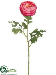 Double Ranunculus Spray - Rose - Pack of 12