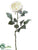 Rose Spray - Cream - Pack of 12