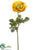 Ranunculus Spray - Yellow - Pack of 12