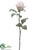 Rose Bud Spray - Pink Cream - Pack of 12