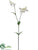 Silk Plants Direct Silene Spray - Lime White - Pack of 12