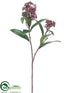 Silk Plants Direct Skimmia Spray - Burgundy - Pack of 12