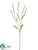 Silk Plants Direct Forest Setaria Spray - Lavender - Pack of 12