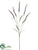 Forest Setaria Spray - Lavender - Pack of 12