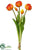 Tulip Bundle - Orange - Pack of 12