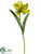 Tulip Spray - Green - Pack of 12