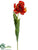 Tulip Spray - Flame - Pack of 12