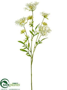 Verbena Spray - White - Pack of 12