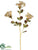 Achillea Spray - Cream - Pack of 12