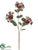 Achillea Spray - Crimson Red - Pack of 12