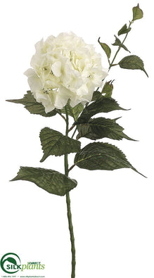Hydrangea Spray - Cream - Pack of 12