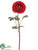 Ranunculus Spray - Brick - Pack of 12