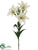 Day Lily Spray - White - Pack of 12