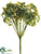 Parsley Bush - Green - Pack of 12