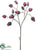 Eucalyptus Pod Spray - Plum - Pack of 12