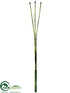 Silk Plants Direct Horsetail Bundle - Green - Pack of 12