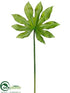 Silk Plants Direct Baby Aralia Leaf Spray - Green - Pack of 12