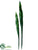 Sansevieria Leaf Spray - Green - Pack of 6