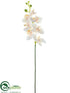 Silk Plants Direct Phalaenopsis Orchid Spray - Cream - Pack of 12