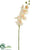 Silk Plants Direct Phalaenopsis Orchid Spray - Tea Berry - Pack of 12