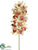 Cymbidium Orchid Spray - Green Burgundy - Pack of 6