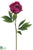 Peony Spray - Rubrum - Pack of 12