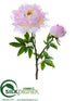 Silk Plants Direct Peony Spray - Pink Soft - Pack of 6