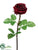 Rose Spray - Burgundy - Pack of 12