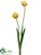 Tulip Spray - Yellow - Pack of 12