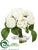 Rose - White - Pack of 12