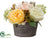Rose, Hydrangea - Mixed - Pack of 6